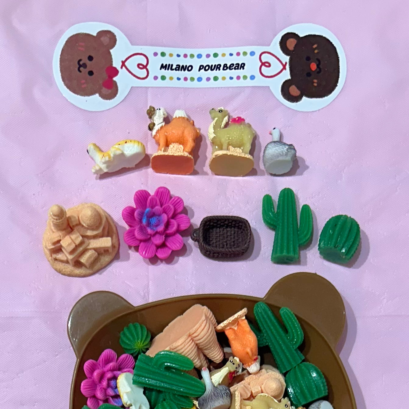 CHARMS Plants & Animals