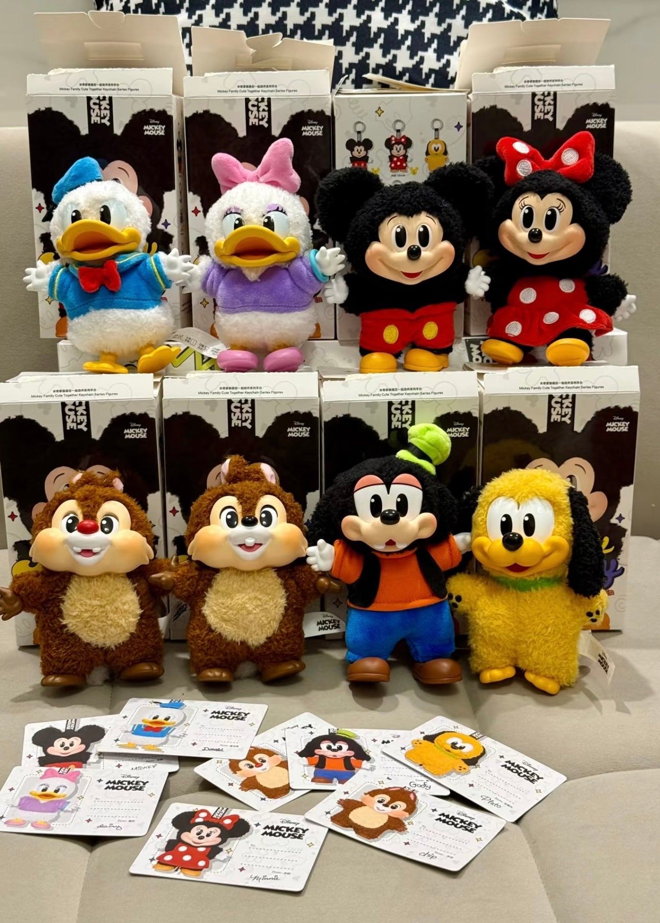 Mickey family