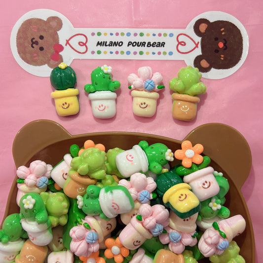 Charms Cactus